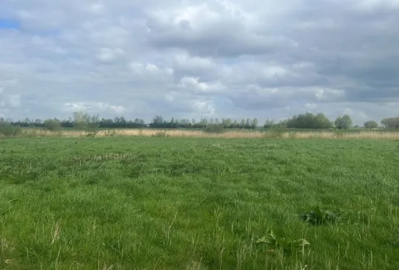 Bouwgrond Aasingel 21
