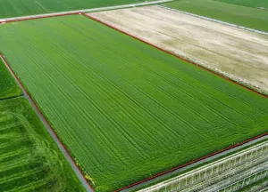 Bouwgrond Noord-Zuid