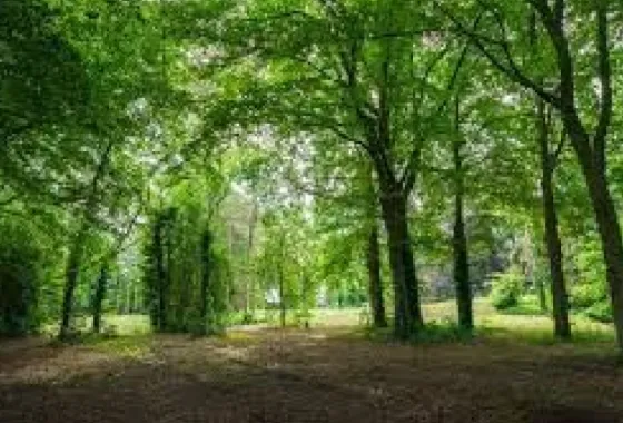 Bouwgrond Kerstenpark Villa Nobilis kavel 4 en 6