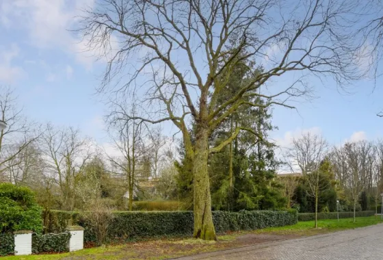 Bouwgrond Blokvenlaan