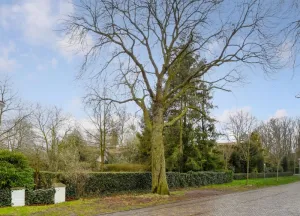Bouwgrond Blokvenlaan