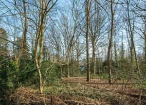 Bouwgrond Selterskampweg