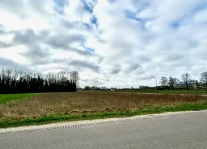 Bouwgrond Zandsteeg