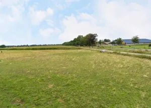 Bouwgrond Snoertsebaan