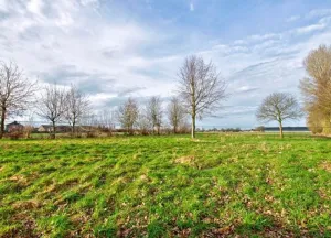 Bouwgrond Alphensebaan