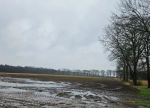 Bouwgrond Emmerseweg