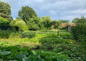 Bouwgrond Kuilenhurk
