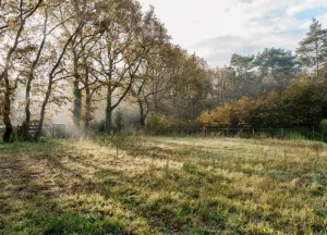 Bouwgrond Van Erven Dorenspark naast 10