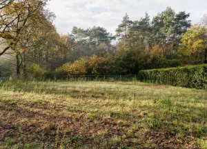 Bouwgrond Van Erven Dorenspark naast 10