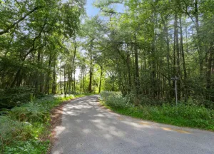Bouwgrond Brandbeemdseweg bouwkavel 2