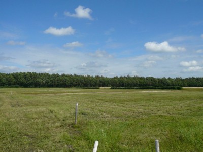 Bouwgrond Dwarsplaatsen Zuid Gasselternijveen