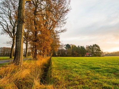 Bouwgrond P.W. Janssenlaan 32 Vledderveen