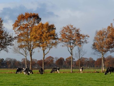 Bouwgrond P.W. Janssenlaan 32 Vledderveen