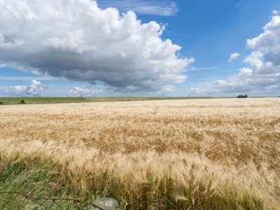 Bouwgrond Grandy Holwert