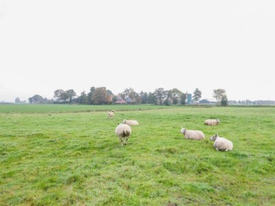 Bouwgrond Hoofdweg 36 Nijelamer