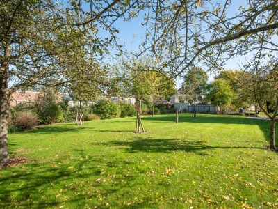 Bouwgrond Harmenkaag  Schagen