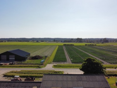 Bouwgrond  Molenweg 7  Warmenhuizen