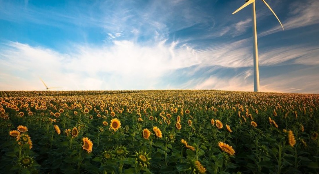 Energieleveranciers: welke zijn er echt groen?