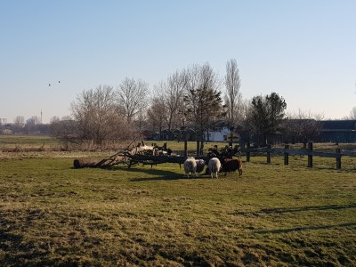 Bouwgrond Osdorperweg 532 naast  Amsterdam