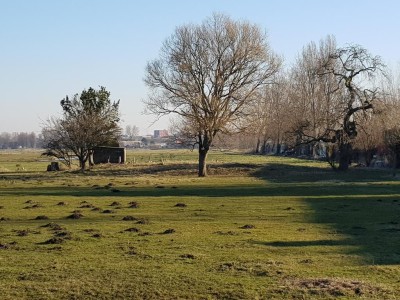 Bouwgrond Osdorperweg 532 naast  Amsterdam