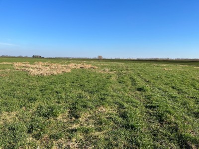 Bouwgrond  Middenweg 21 2161 LR Lisse