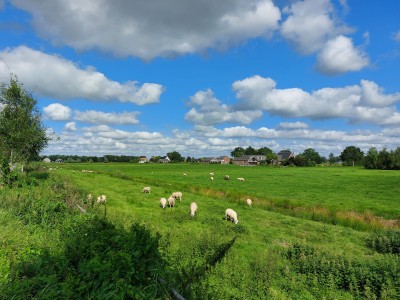 Bouwgrond Noordse Dorpsweg 14 KVL16 2431 AT Noorden