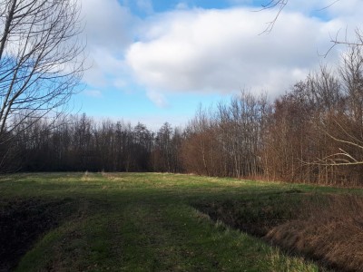 Bouwgrond Laan van Westerhout, Zwaanshoek